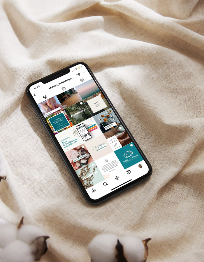 gestion des réseaux sociaux pour praticiens bien-être et santé gestion des réseaux sociaux pour praticiens bien-être et santé